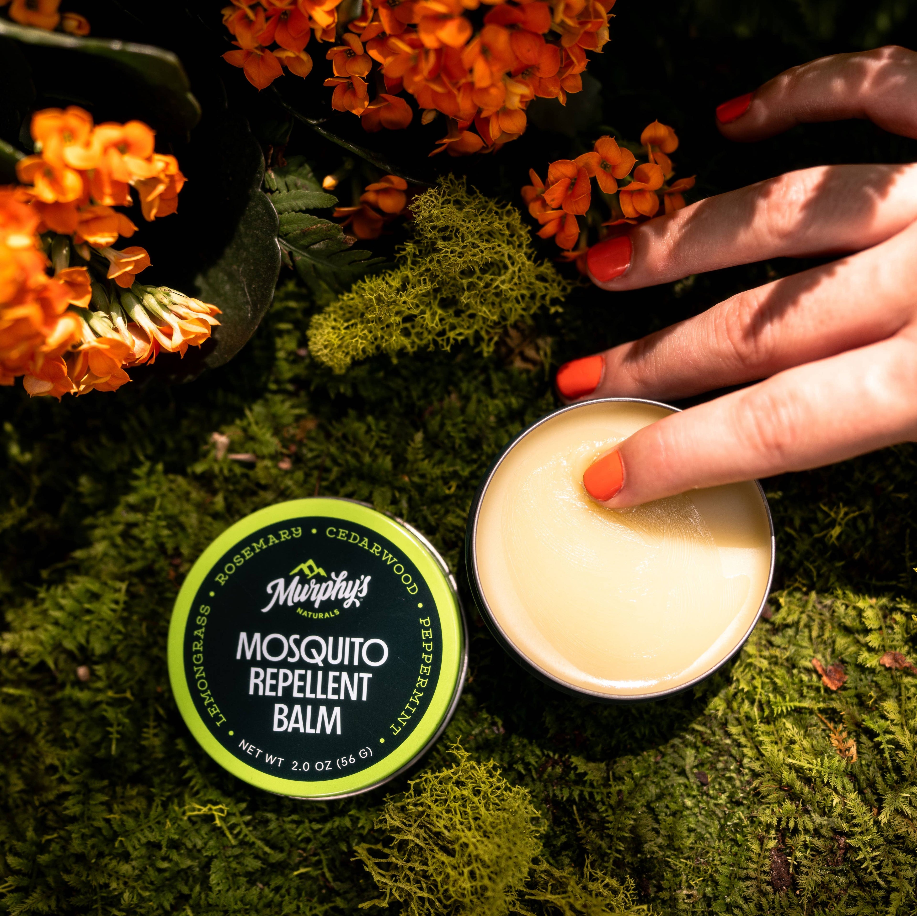 Mosquito Repellent Balm Tins (2oz) - Display of 12