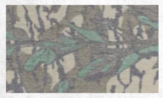 Adult Long Sleeve Shirt Branded