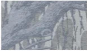 Adult Short Sleeve Branded T-Shirt