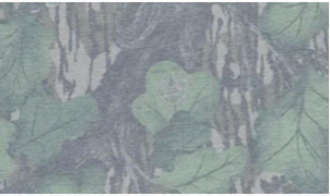 Adult Long Sleeve Shirt Branded